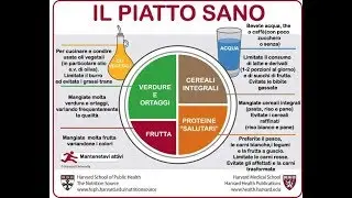 01 Il cibo dell'uomo e il cibo industriale