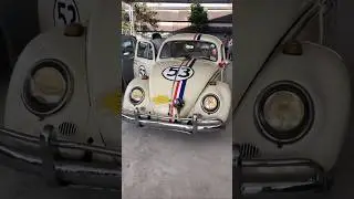 VW Herbie 53 #vw #vwbeetle #vwkodok #vwbus #vwherbie53 #mobiltua #koleksimobil #mobilantik