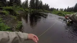 Situk River / Yakutat Alaska