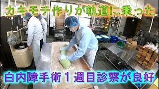 カキモチ作りが軌道に乗り始めました・白内障手術後の１週間目の診察は良好でした・2026