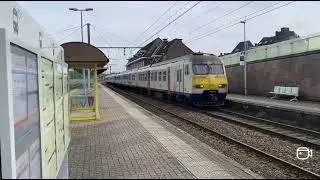 Treinen op Station Aarschot 2024