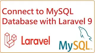 How to connect to MySQL database with Laravel project