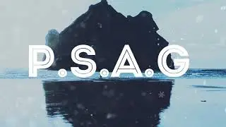[Electr&oacute;nica P.S.A.G 2018]