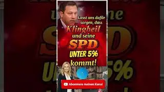 Projekt Unter 5%: Der Albtraum der SPD #politik #news #memes