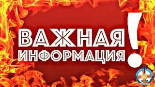 #Airdrop!Testnet!Crew3!Discord!Важные новости!