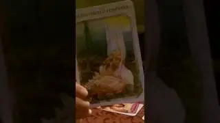 Libra relationship reading 1 - 15 October 2016