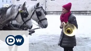 Pferde führen Mozart auf | Sarah's Music