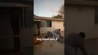 Building a dog house part 2