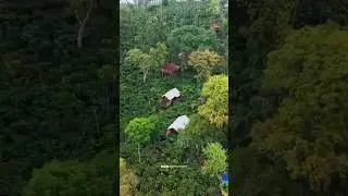 Private pool resort for couples in Wayanad