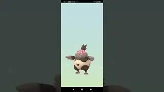 Hatching 9x 12km eggs Pokemon GO