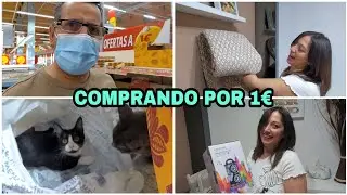 COMPRANDO PRODUCTOS POR 1&euro;  Y OTRAS COMPRAS PARA LA CASA.