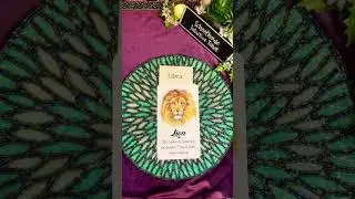 ♎️LIBRA!♎️ 🦁ANIMAL ORACLE SHORT #shorts #oracle #libra #tarot