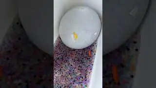 the last pop is so big!! those orbeeze went everywere !! #balloon #orbeez #relaxing #satisfying
