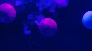 Space Water Universe | 4K Relaxing Space Art
