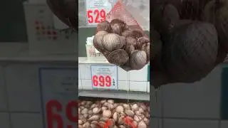 Unboxing LIVE Venus Clams from Mexico! 🌊🐚 #seafood #food #shorts