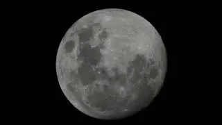 Bird Flying Across The Moon