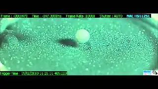 Liquid marble formation - high speed camera