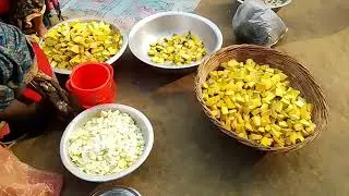 অসাধারণ কীর্তন রবীন্দ্র বাবুর বাড়ি 