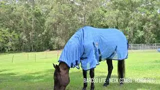 Delzani | Barcoo Doha Star Blue Fly Mesh Neck Combo Horse Rug