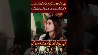 Falak Javed vs Maryam Nawaz ❤❤#imrankhanpti #pti #sohailafridi #urdutrends
