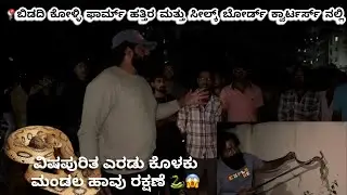  Rescue two viper snake at BidadiKolli farm and silk board Quarters near Ramanagara 
