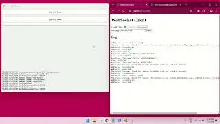 WebSocket Server For Localhost Using WSS or WS Protocol on WinForm Application Using C#