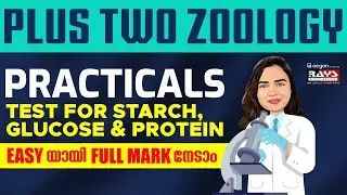 ZOOLOGY PRACTICALS | PLUS TWO BIOLOGY MODEL, PUBLIC EXAMS- TEST FOR STARCH, GLUCOSE & PROTEIN | RAYS