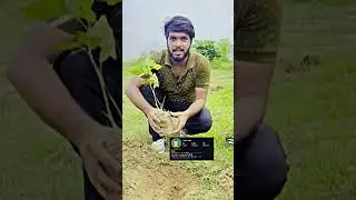 1Subscribe1Tree #nature#tree#youtubeshorts#fitness#travelvlog#youtube#youtuber#youtubeshort
