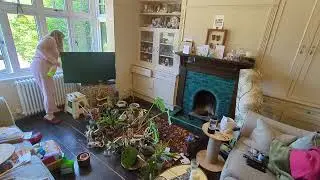 Massive plant sort out #declutter #houseplants #springcleaning #cleanwithme #cleaningmotivation