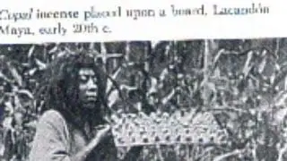Who are the true indians of America ( North and South, Caribbean Island and Canada?