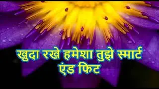 Happy New Year 2018, Wishes, video download,Whatsapp Video,song,countdown,wallpaper,animation