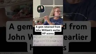 I love this Harry Potter tune written for alto flute #harrypotter
