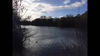 Epping Forest Centenary Walk: Manor Park to Epping.