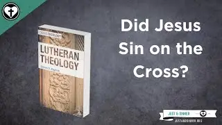 A Critique of the Theology of Steven Paulson