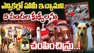 పాల్వంచ మండలంలో ఐదుగురు సర్పంచ్‎ల నిర్వాకం  I Shanarthi Telangana