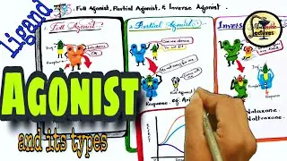 What is agonist and antagonist -part 1 | full & partial agonist, inverse agonist