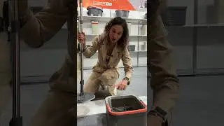 Чудо-швабра из китайского павильона, которая легко чистится и отжимается. Видели такую?