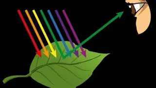 Interaction of Light on Different Materials