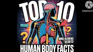 10 Amazing Facts About the Human Body | Mind-Blowing Human Body Facts