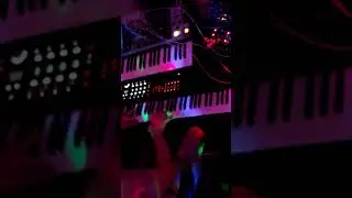 Ambient electronic improvisation with Moog Matriarch, Moog Subharmonicon And ASM Hydrasynth