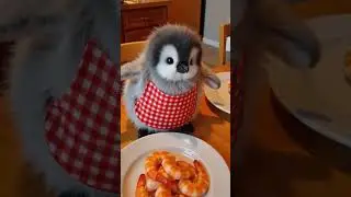 #CutePets #FunnyPetVideos #ViralPets #PetShorts #AdorableAnimals #TrendingPets #FurryF #SubscribeNow