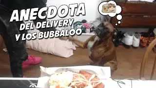 ANECDOTA DEL DELIVERY Y LOS CHICLES BUBBALOO