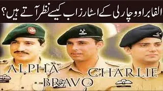 Alpha Bravo Charlie Drama Actress looks like now 2019 | 9 News