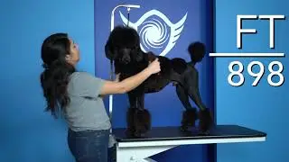 FT898 Electric lift pet grooming table z shaped lift