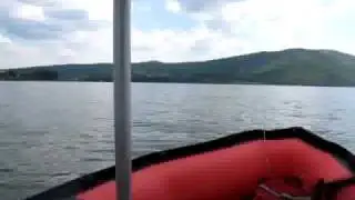 Trolling - Ивайловград - 1 July