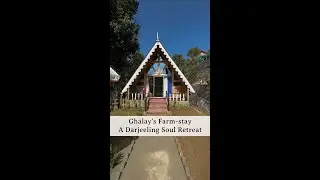 Farm stay in Darjeeling ||Singtam Tea Garden|| Ghalay's Farm Stay|| Offbeat Stay in Darjeeling