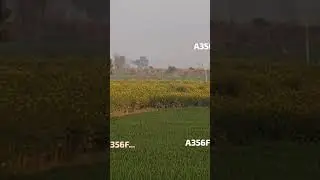 REWARI TIGER VIDEO रैसकयू के दोरान बाहर निकला टाइगर  ( Latest tiger news update #shorts #viral #