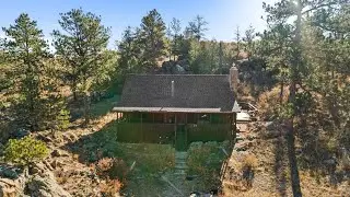 307 Brewster Ln Livermore, CO 80536