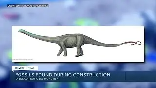 New dinosaur fossils found during construction at Dinosaur National Monument