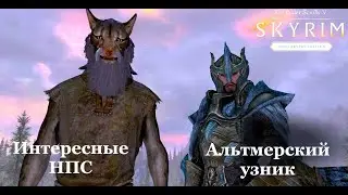 TES V: Skyrim Anniversary Edition #44 Интересные НПС  Альтмерский узник